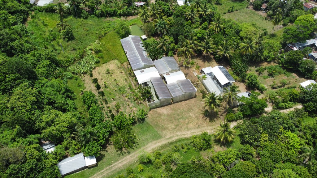 Greene Hart Gardens greenhouses aerial view