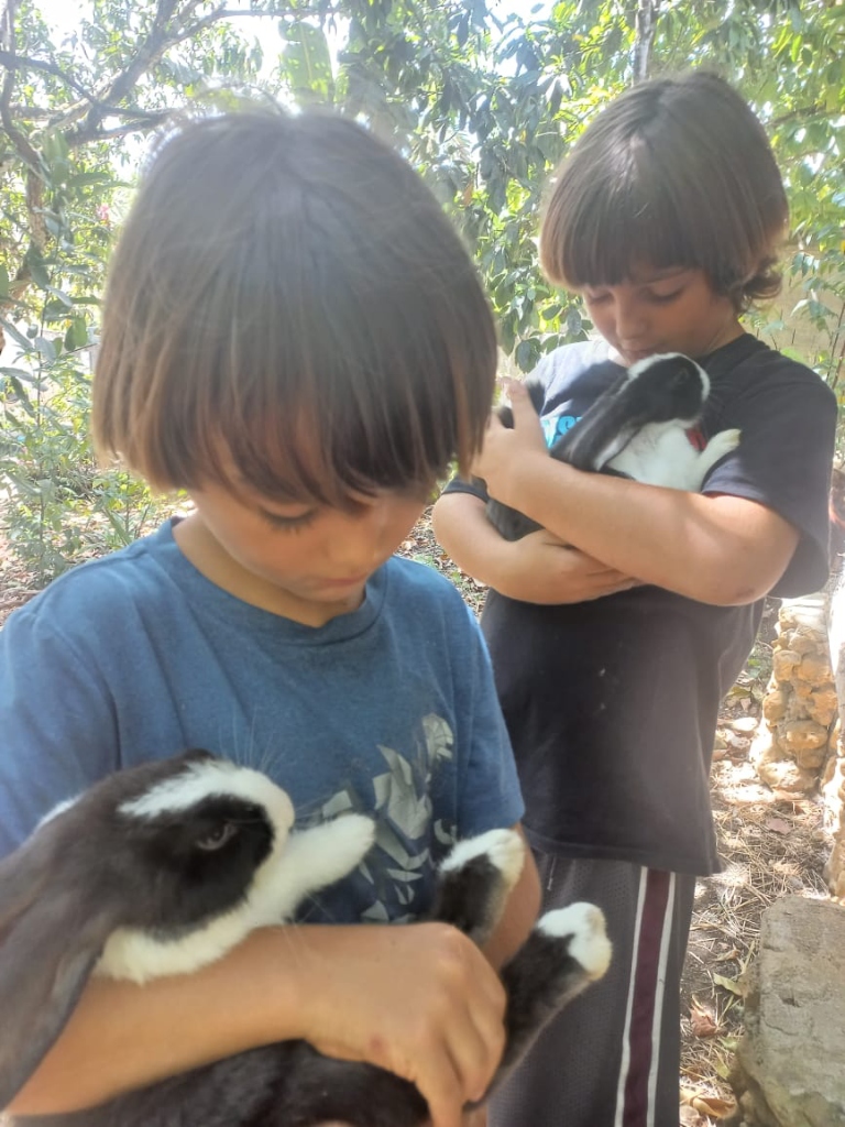 Children caring for rabbits at Blossom Forest School, Taino Farm