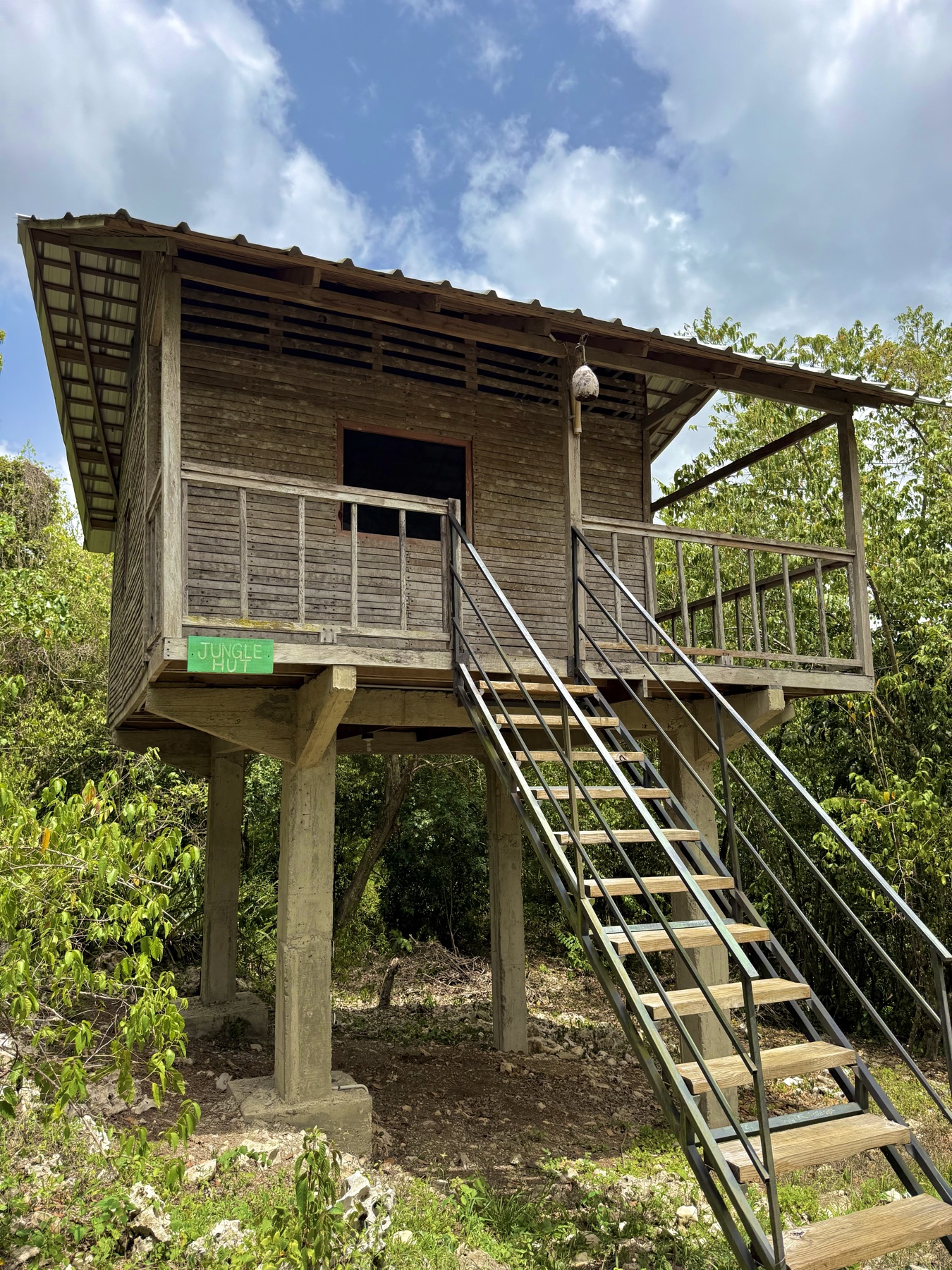 Jungle Hut cabin at Taino Farm
