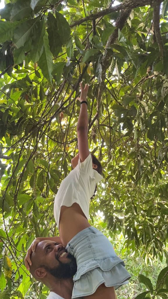 Picking tropical fruit at Greene Hart Gardens