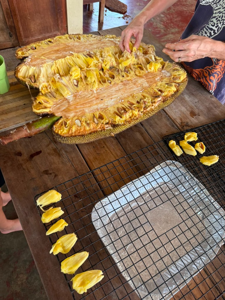 Dried jackfruit at Greene Hart Gardens