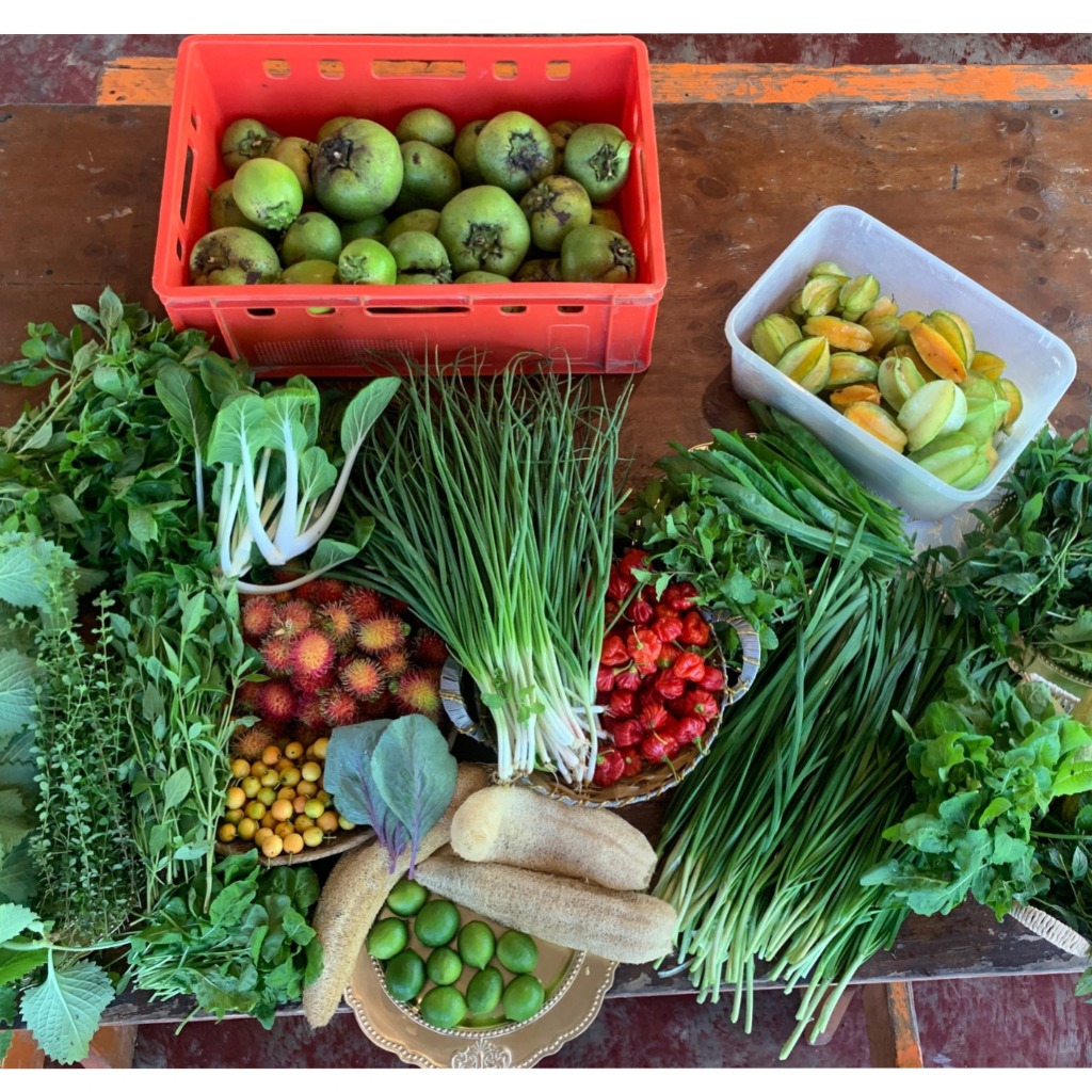 Fresh tropical produce harvested at Greene Hart Gardens