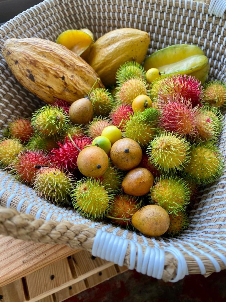 Tropical fruits from Greene Hart Gardens