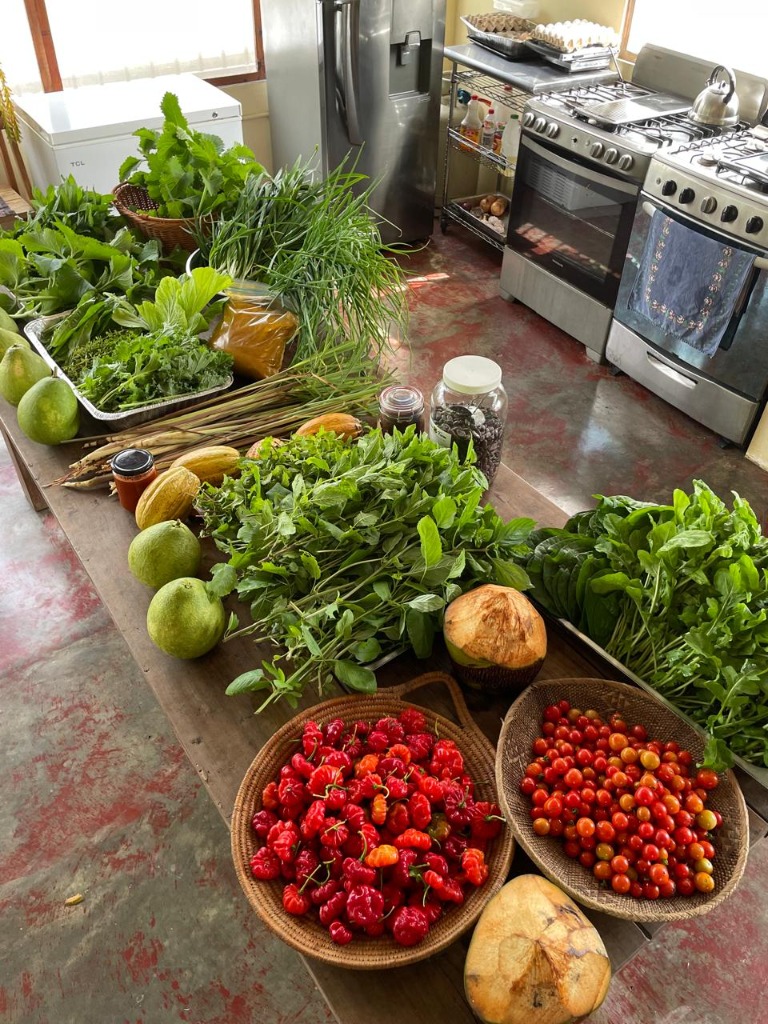 Fresh herbs and greens harvested at Greene Hart Gardens